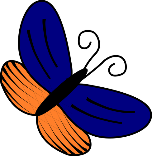 Borboleta azul e laranja