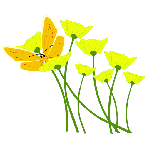 Papillon sur image vectorielle fleur