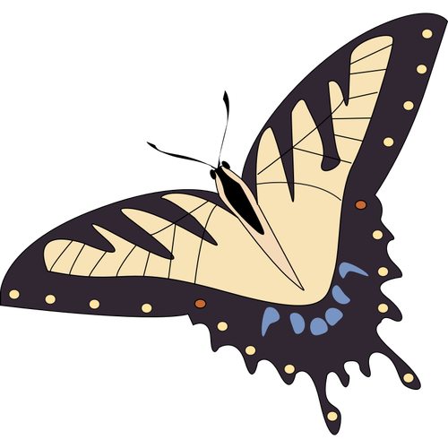 Vektorový obrázek tropických motýlů