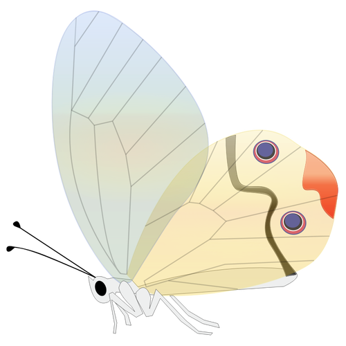 Comic butterfly vector illustration