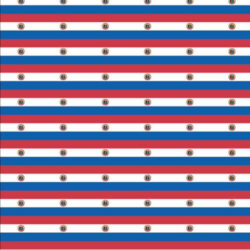 Flag of Paraguay seamless pattern