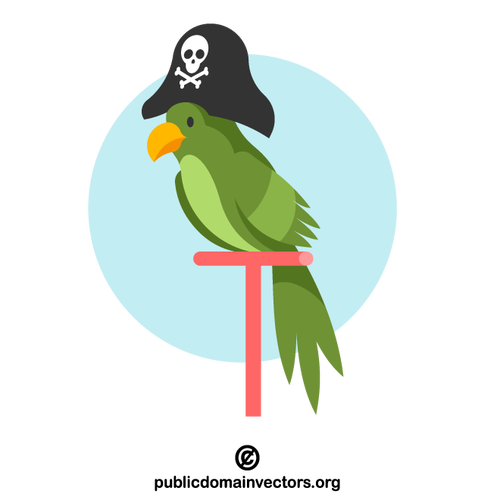 Parrot with pirate hat