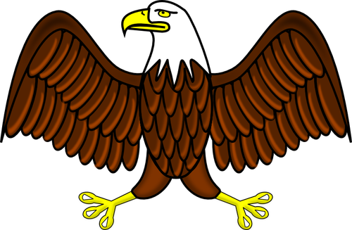 Color águila calva vector de la imagen