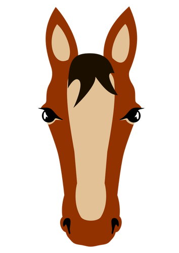 הפנים של הסוס