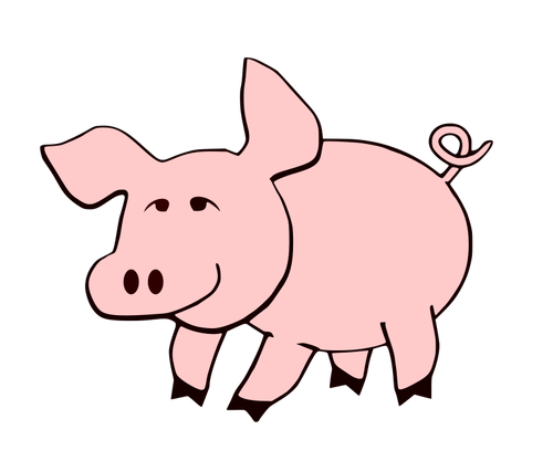 Sevimli domuz görüntü