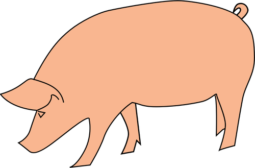 猪觅食向量剪贴画