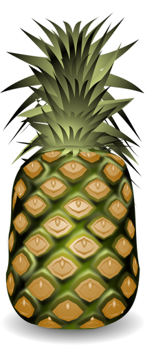 Ananas frukt