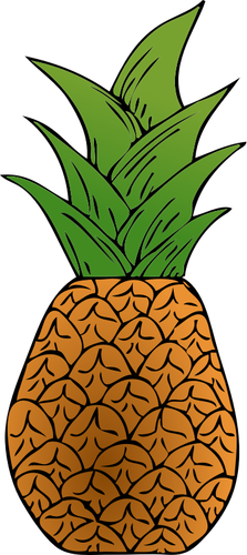 Vektorikuva trooppisesta ananasta