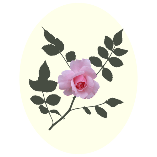 Rosa ros vektorbild
