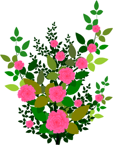 Розовые розы векторной графики