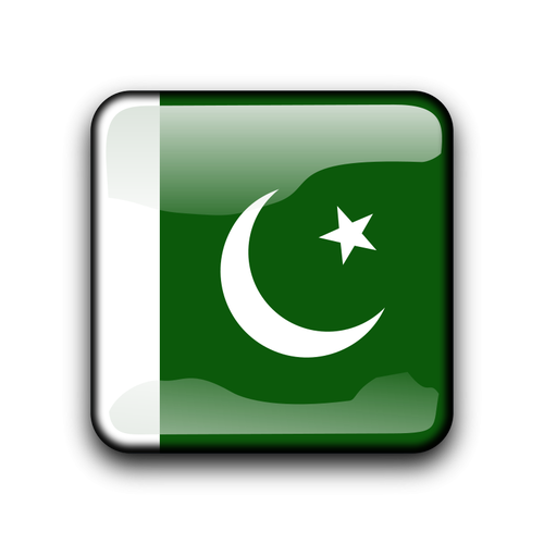 Kare şekli içinde Pakistan vektör bayrağı