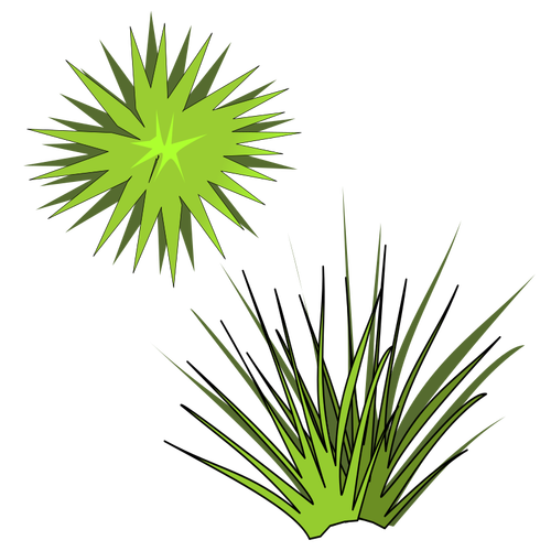 Vektorové ilustrace zelené špičaté rostliny s zeleným sluncem nad