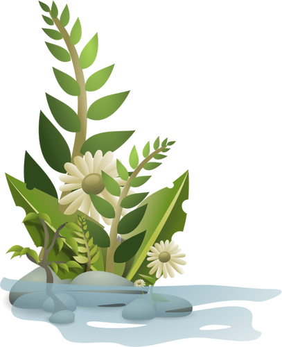 Vectorafbeeldingen van selectie van planten in water