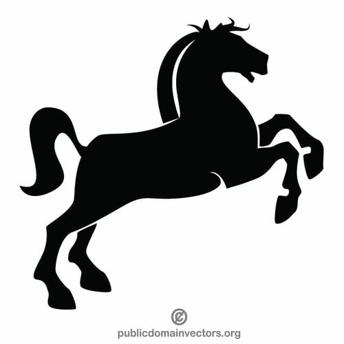 Cavallo pony