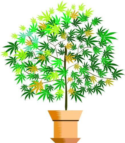 Hrnková rostlina vektorový obrázek