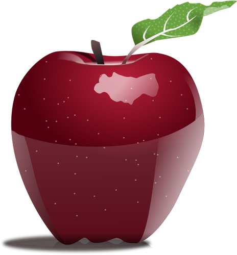 सेब की photorealistic वेक्टर छवि