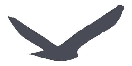 Predatory bird silhouette