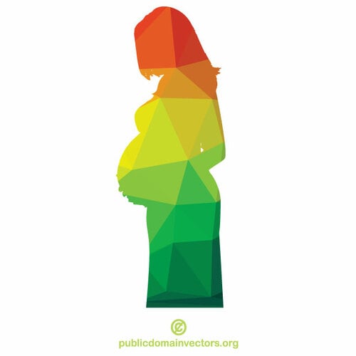 Kobieta w ciąży kolorowe sylwetki