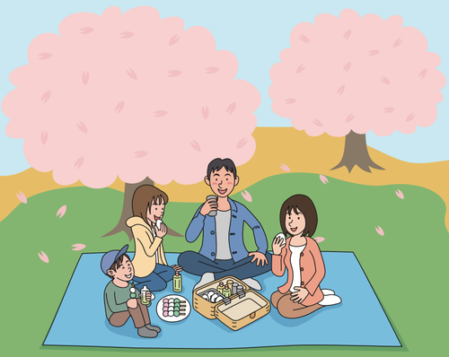 Kiraz çiçeği piknik