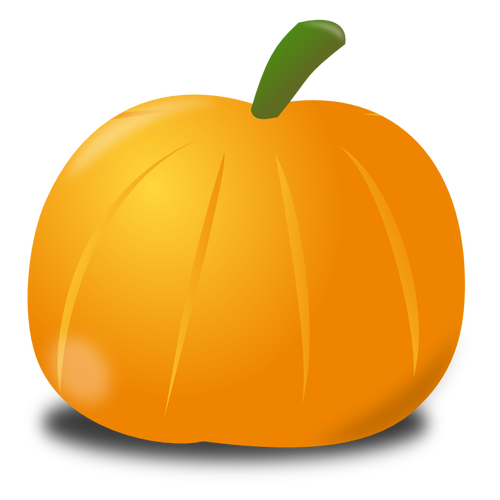 Pumpkin with shadow vector image