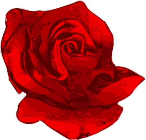 गुलाब लाल