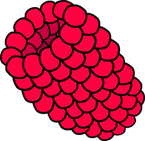 Imagen vectorial de frambuesa