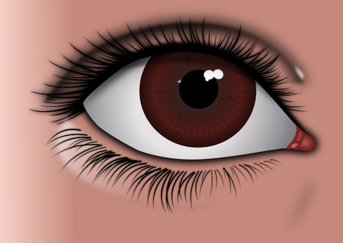 Realistisk brun øye