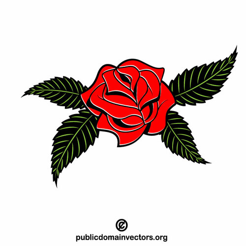 Plante de fleur de rose rouge