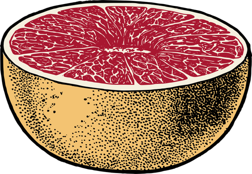 Vector de la imagen de pomelo rojo cortado por la mitad