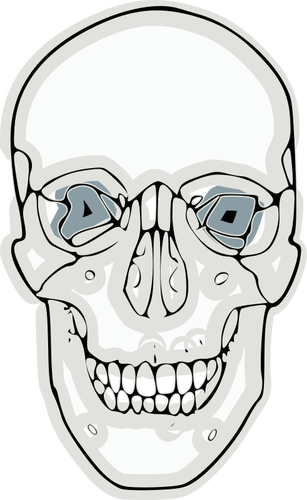 デジタル人間の頭蓋骨のベクトル グラフィック
