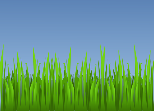 Gambar vektor rumput hijau
