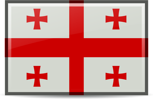 Georgia flagg