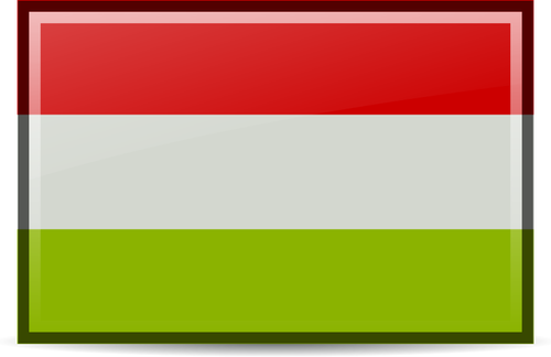 Ungerska flagga