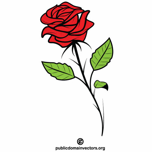 Rose flower color clip art
