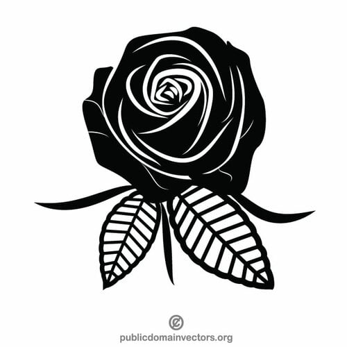 Růže černobílé kliparty