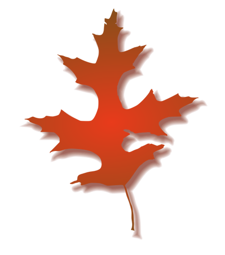 Illustration vectorielle de feuille de chêne