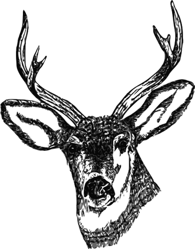 Hjort hode med horn vektor bilde