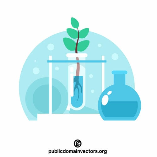 Experimentos científicos en plantas