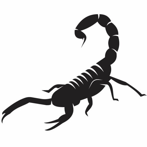 Scorpion siluet seni tato