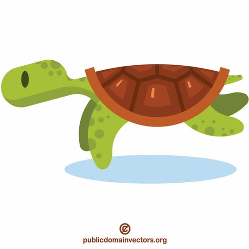 Grön sköldpadda simning