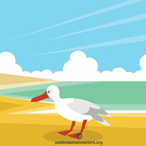 Seagull na plaży