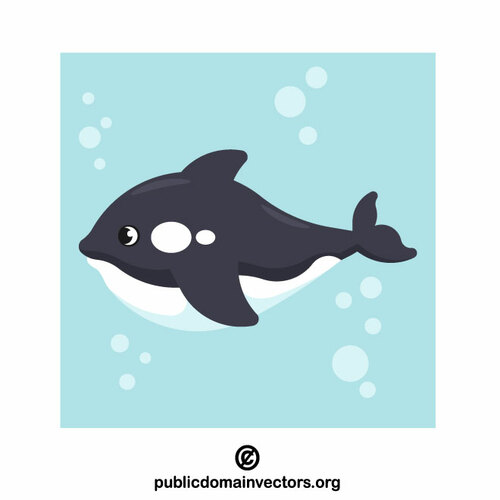 Orka walvis