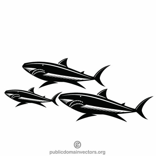 Haaien zwart-wit afbeelding