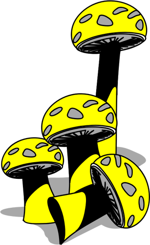 Funghi gialli