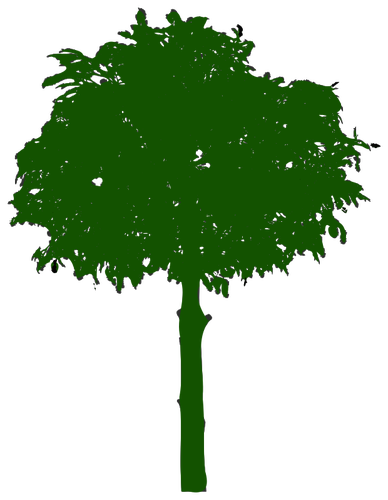 Groene boom pictogram