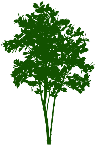 Symbole de petit arbre