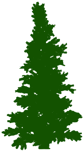 Pine silhouet
