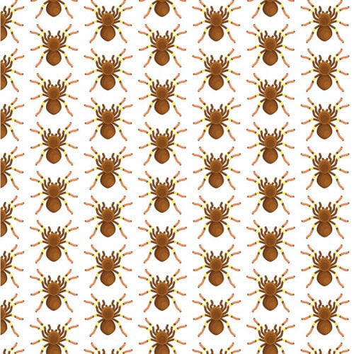 Spindel sömlösa mönster tapet