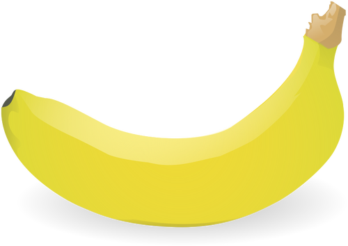 Fotorealistické jednotlivé banán vektorový obrázek