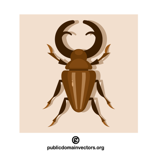 Insecto escarabajo ciervo